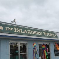 the islanders store.jpg